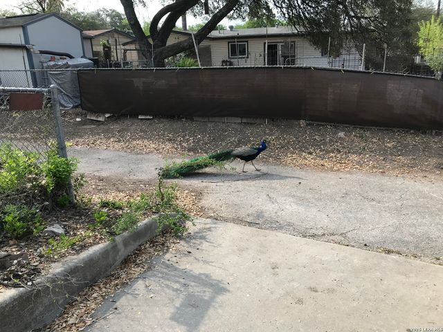 4626 DUQUESNE DR, San Antonio, TX 78229