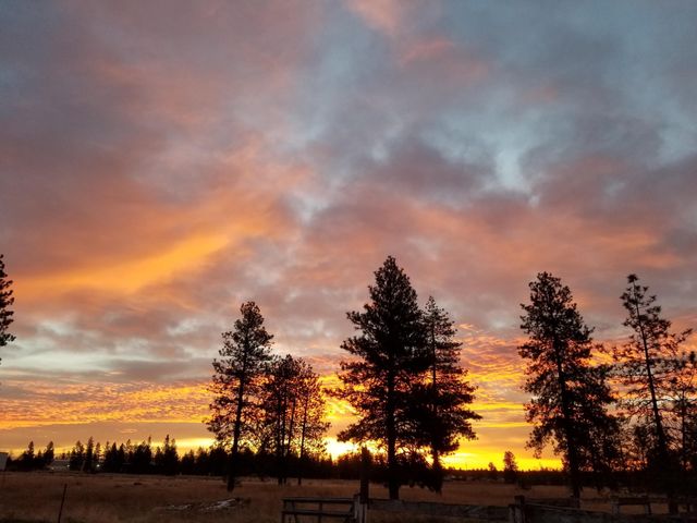 14313 W SR 904 Hwy, Cheney, WA 99004