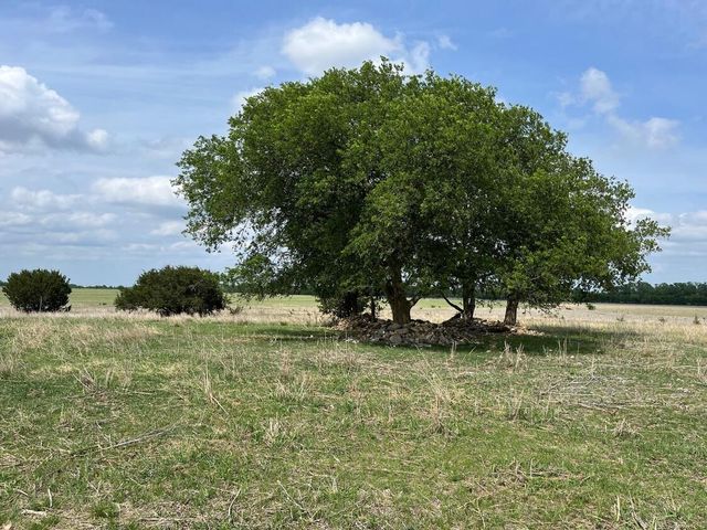 000 County Road 269 Road, Oglesby, TX 76561