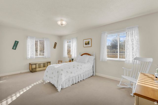 1060 W 2620 S, Mapleton, UT 84664