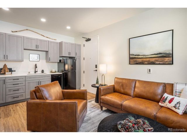 2121 Hummingbird Way 3-201, Georgetown, CO 80444