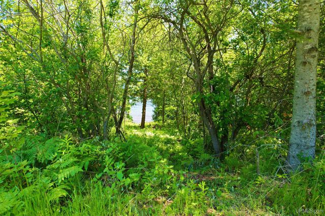 46333 Us 41 Highway, Houghton, MI 49931