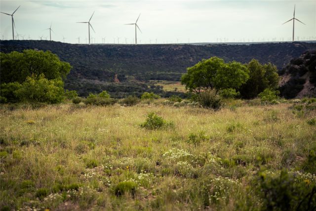 718 W CR 301, Merkel, TX 75455