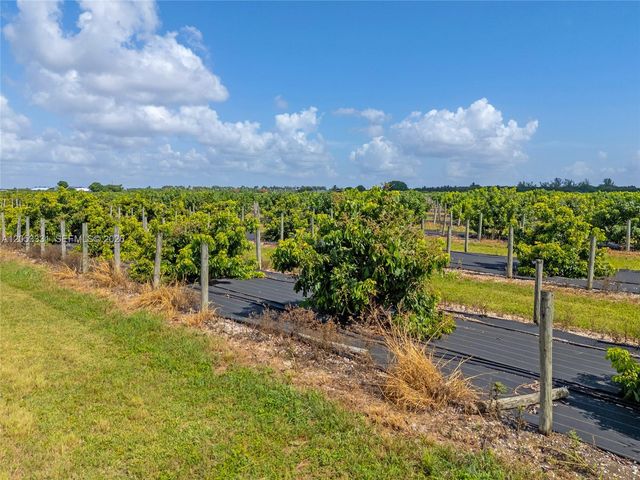 320xx SW 217 Avenue, Homestead, FL 33030
