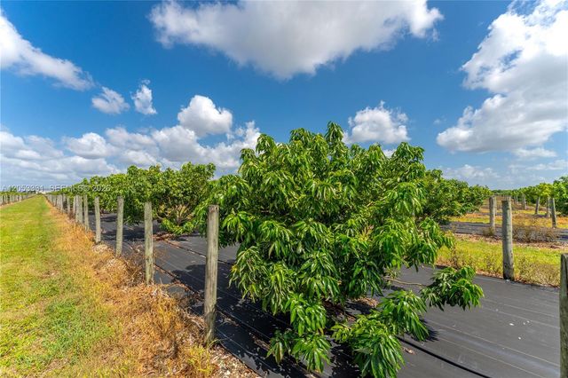 320xx SW 217 Avenue, Homestead, FL 33030