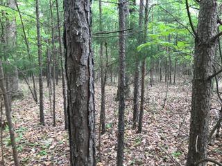 0 Bluffview Drive 26, Dunlap, TN 37327