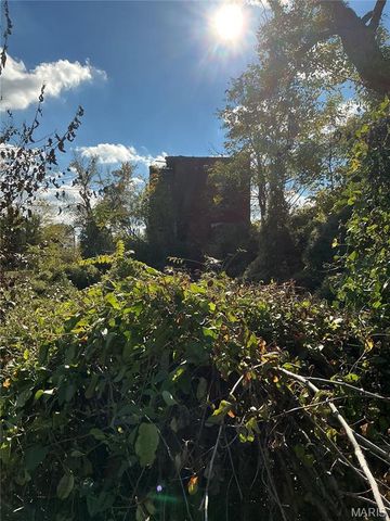 4411 Saint Ferdinand Avenue, St Louis, MO 63113