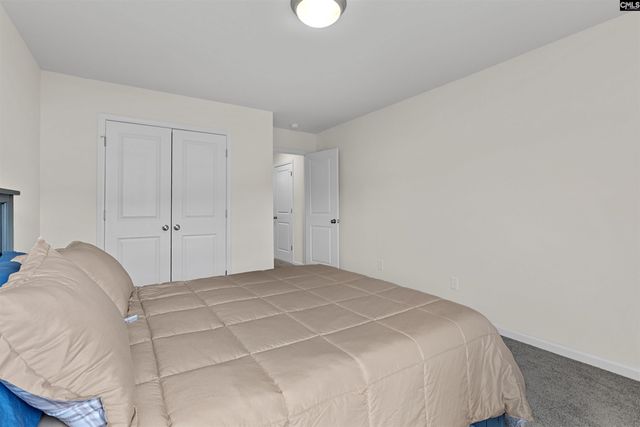 29 Harvest Glen Drive, Elgin, SC 29045