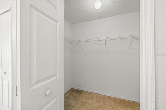 6114 SCHOOL HOUSE COURT, Wesley Chapel, FL 33545