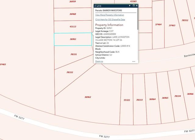 TBD Bank Side, Livingston, TX 77351