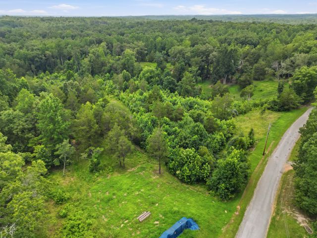 20151 Ben Fly Rd, Lyles, TN 37098