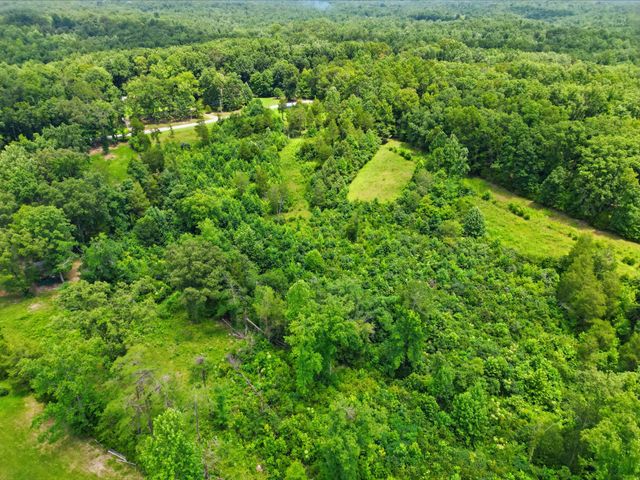 20151 Ben Fly Rd, Lyles, TN 37098