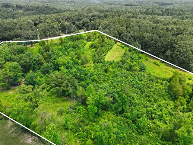 20151 Ben Fly Rd, Lyles, TN 37098