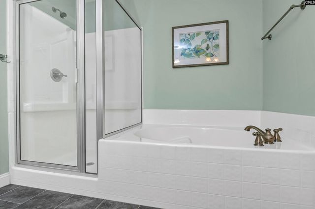 123 Jasmine Bay Lane, Chapin, SC 29036