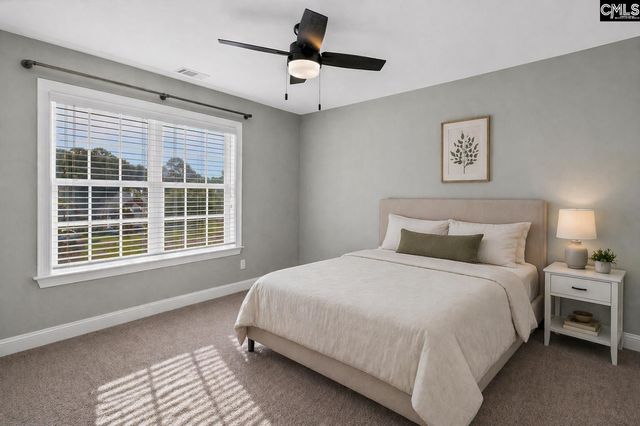 123 Jasmine Bay Lane, Chapin, SC 29036