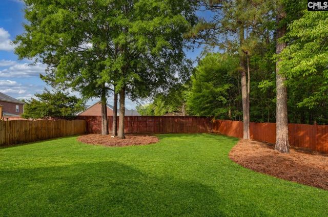 123 Jasmine Bay Lane, Chapin, SC 29036