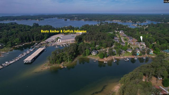 123 Jasmine Bay Lane, Chapin, SC 29036