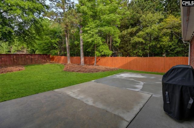 123 Jasmine Bay Lane, Chapin, SC 29036
