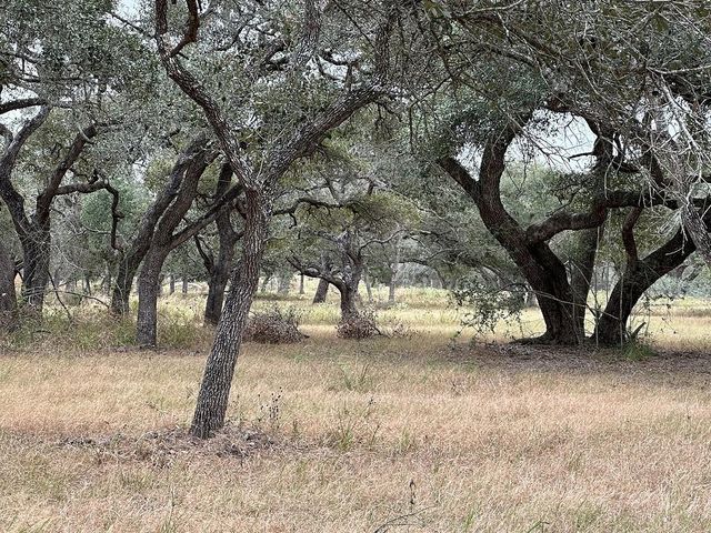 1482 Ramsey Road, Alleyton, TX 78935