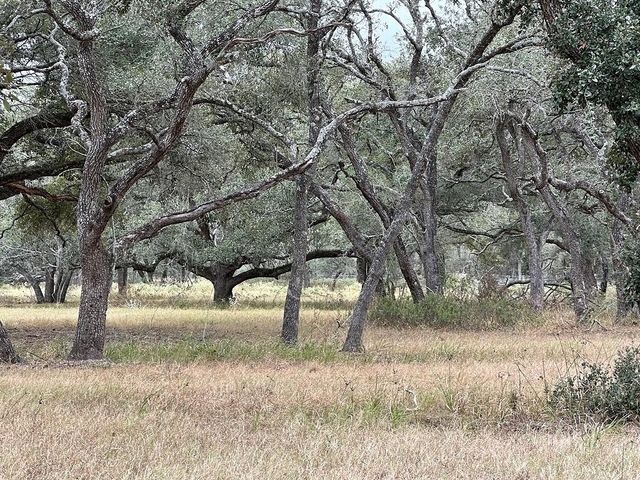 1482 Ramsey Road, Alleyton, TX 78935