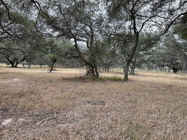 1482 Ramsey Road, Alleyton, TX 78935