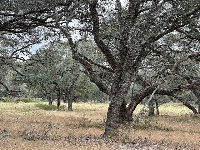 1482 Ramsey Road, Alleyton, TX 78935