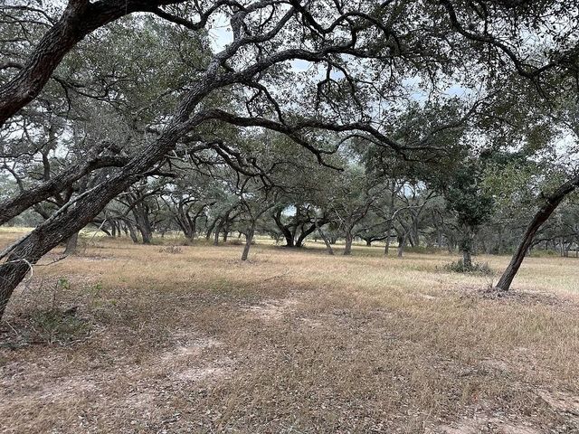 1482 Ramsey Road, Alleyton, TX 78935