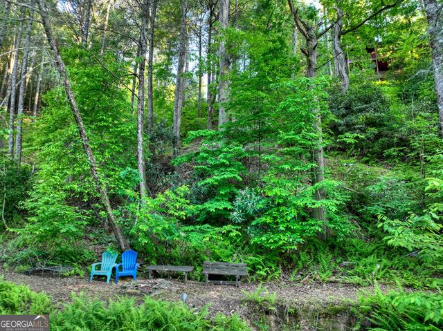 550 Hillsdale Drive, Ellijay, GA 30540