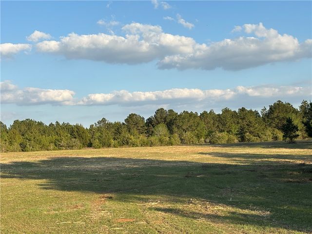 TBD County Road 408, Navasota, TX 77868