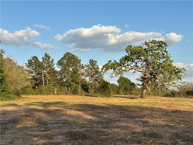 TBD County Road 408, Navasota, TX 77868