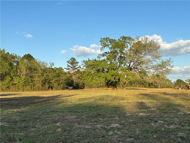 TBD County Road 408, Navasota, TX 77868
