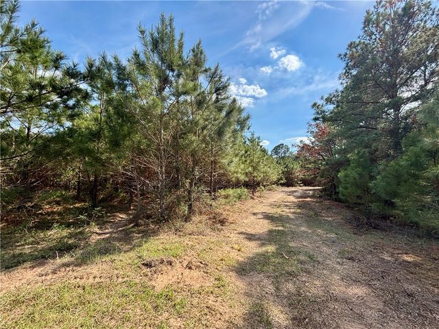 TBD County Road 408, Navasota, TX 77868