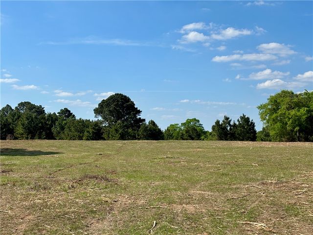 TBD County Road 408, Navasota, TX 77868