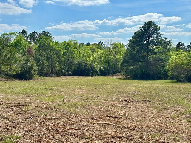 TBD County Road 408, Navasota, TX 77868