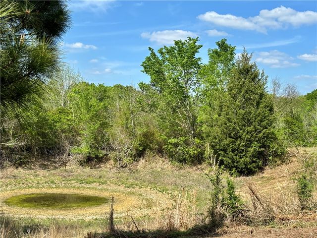 TBD County Road 408, Navasota, TX 77868