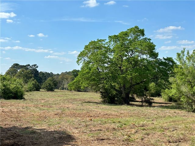 TBD County Road 408, Navasota, TX 77868