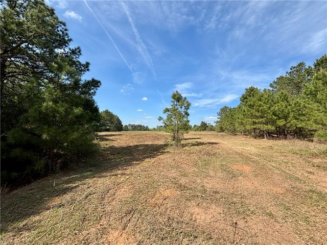 TBD County Road 408, Navasota, TX 77868