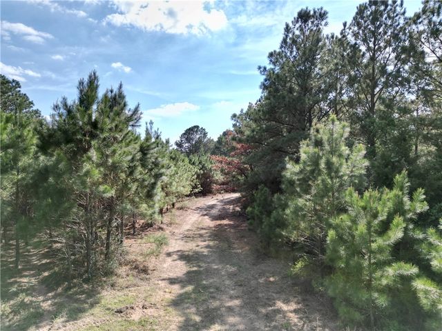 TBD County Road 408, Navasota, TX 77868