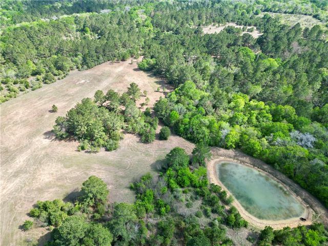 TBD County Road 408, Navasota, TX 77868