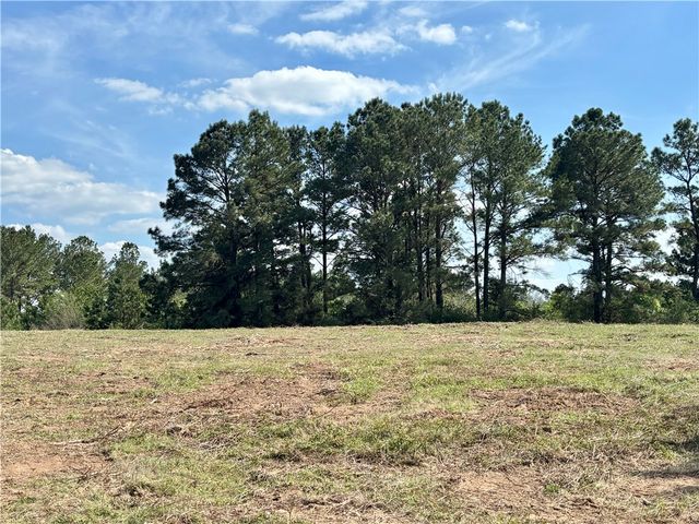 TBD County Road 408, Navasota, TX 77868