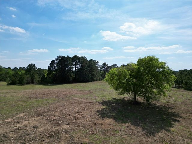 TBD County Road 408, Navasota, TX 77868