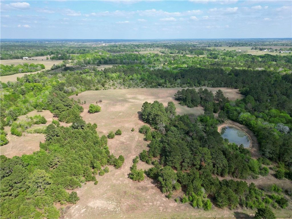 TBD County Road 408, Navasota, TX 77868
