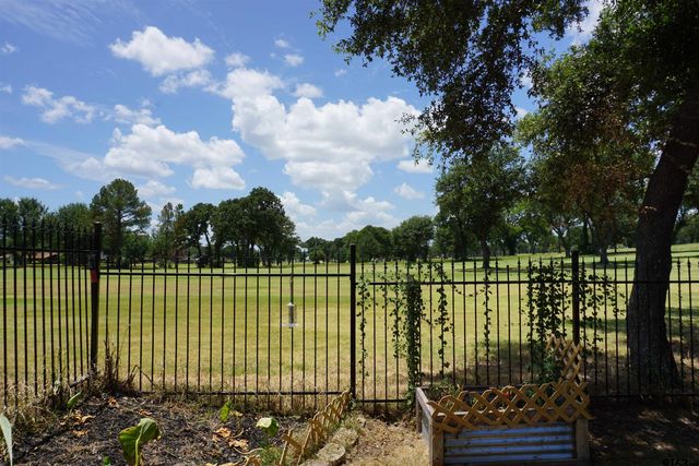 10808 Jeanell Dr, Kemp, TX 75143