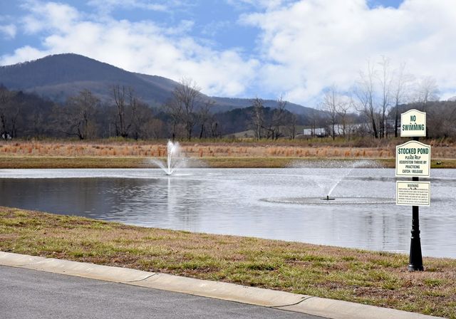 166 Foggy Mountain Road, Blairsville, GA 30512