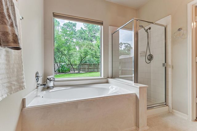 38 Tranquil Glade Place, The Woodlands, TX 77381