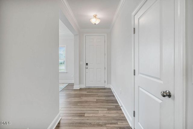 1809 Delaney Hills Lane, Fuquay Varina, NC 27526