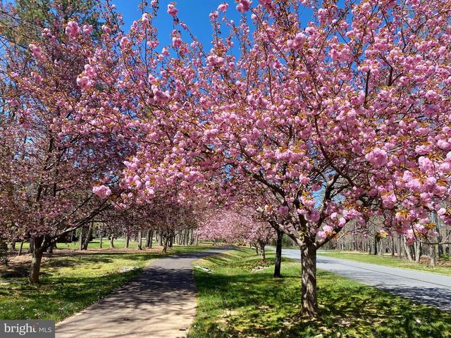 11608 LONGSTREET DR, Spotsylvania, VA 22551