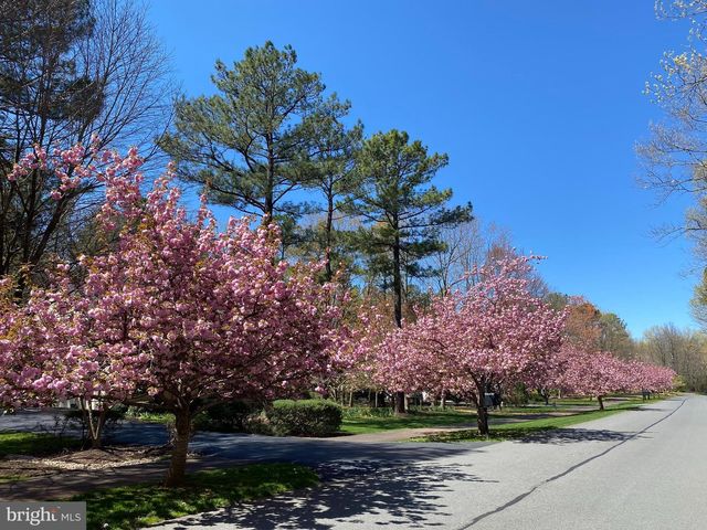 11608 LONGSTREET DR, Spotsylvania, VA 22551