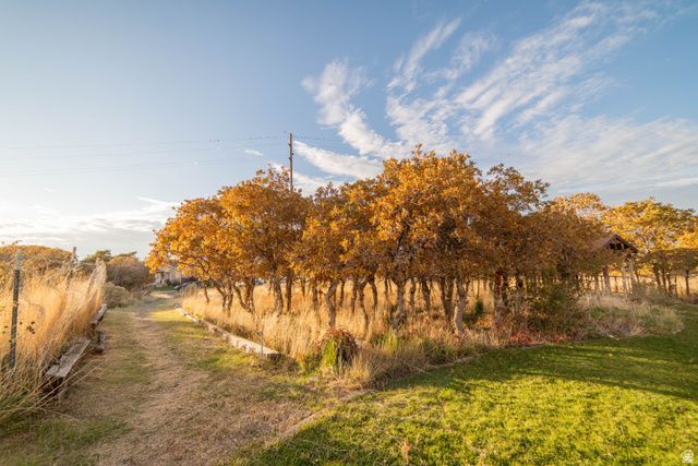 626 S 690 E, Santaquin, UT 84655
