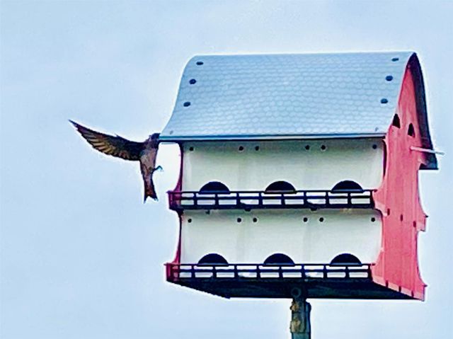 794 Marlin Street, Bayou Vista, TX 77563